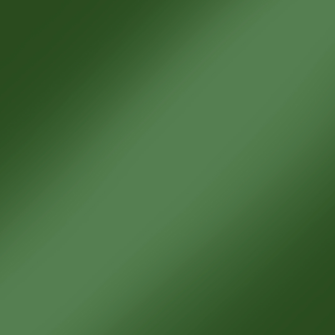 Verde Militar (Brilhante)